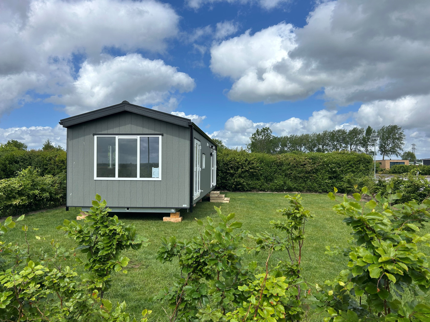 Direct Genieten: Uw Eigen Groene Oase in de 'My Home Pure' op camping het Vogelnest - 